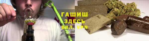 прущие грибы Алзамай