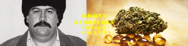 метадон Каменка