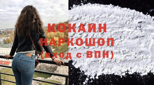прущие грибы Алзамай