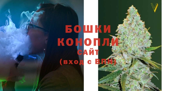 прущие грибы Алзамай