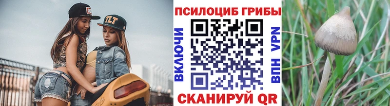 Псилоцибиновые грибы мицелий  blacksprut как войти  это какой сайт  купить закладку  Полтавская 